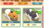 v5014我的仓鼠
